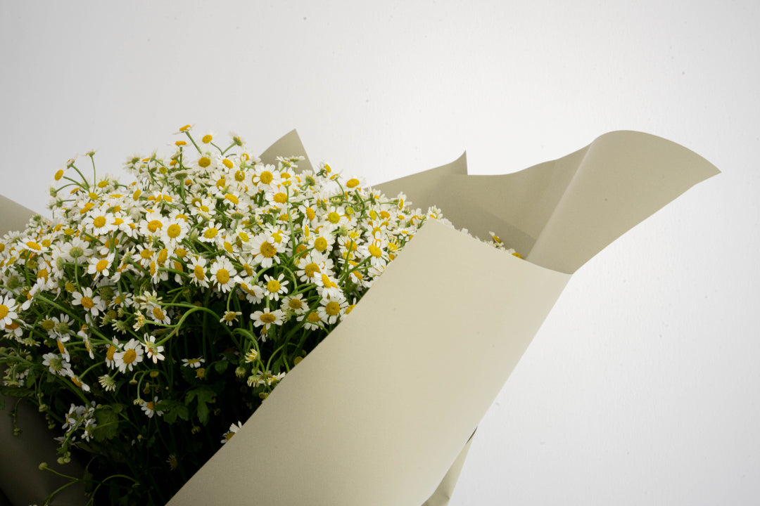 Chamomile Bouquet
