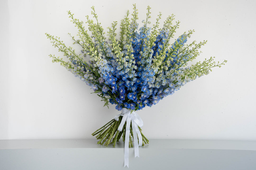 Blue & White Delphinium Bouquet