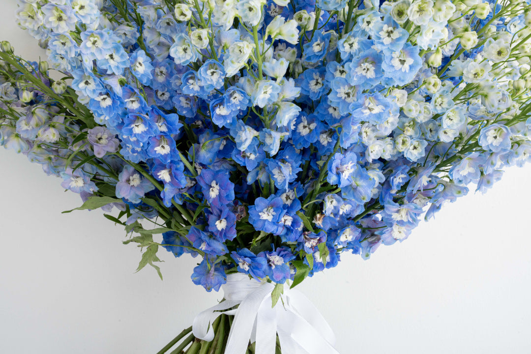 Blue & White Delphinium Bouquet