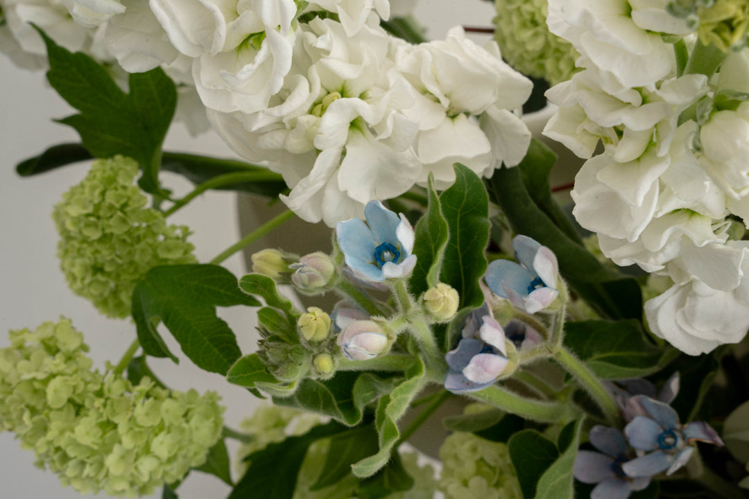 White Peony & Hydrangea Flower Bag