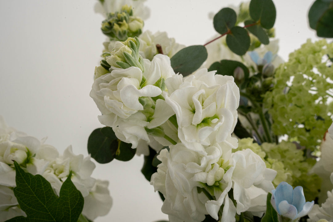 White Peony & Hydrangea Flower Bag