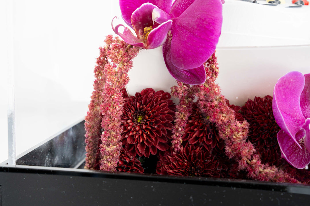 Dibujos de Palitos Birthday Cake with Fresh Orchids