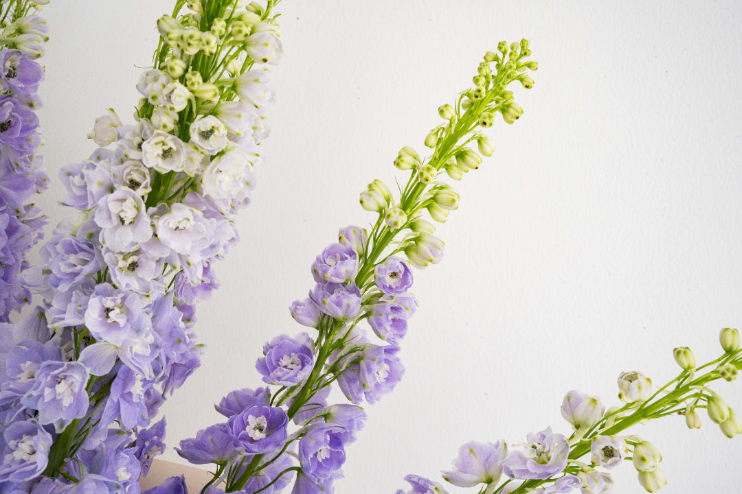 Pastel Grace Floral Vase Arrangement