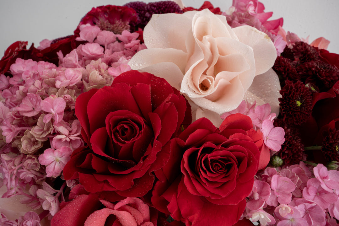 Red & Pink Rose with Hydrangea Arrangement