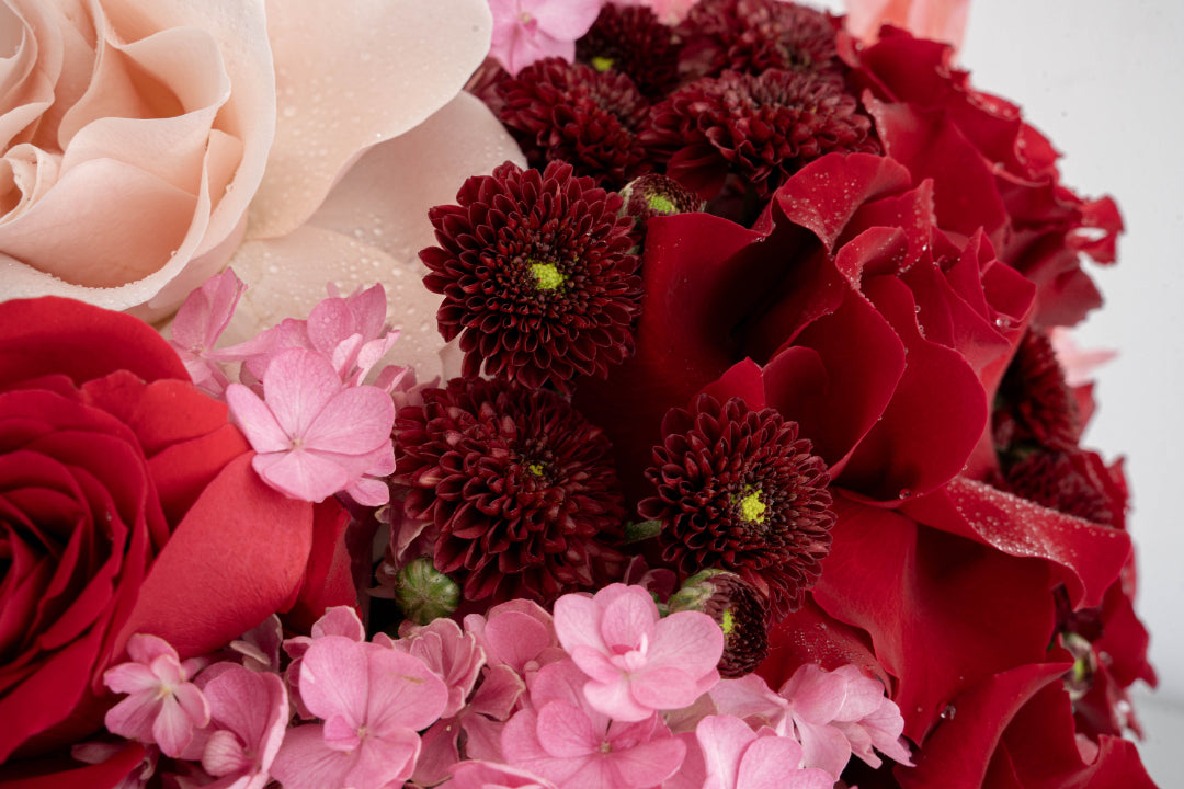 Red & Pink Rose with Hydrangea Arrangement
