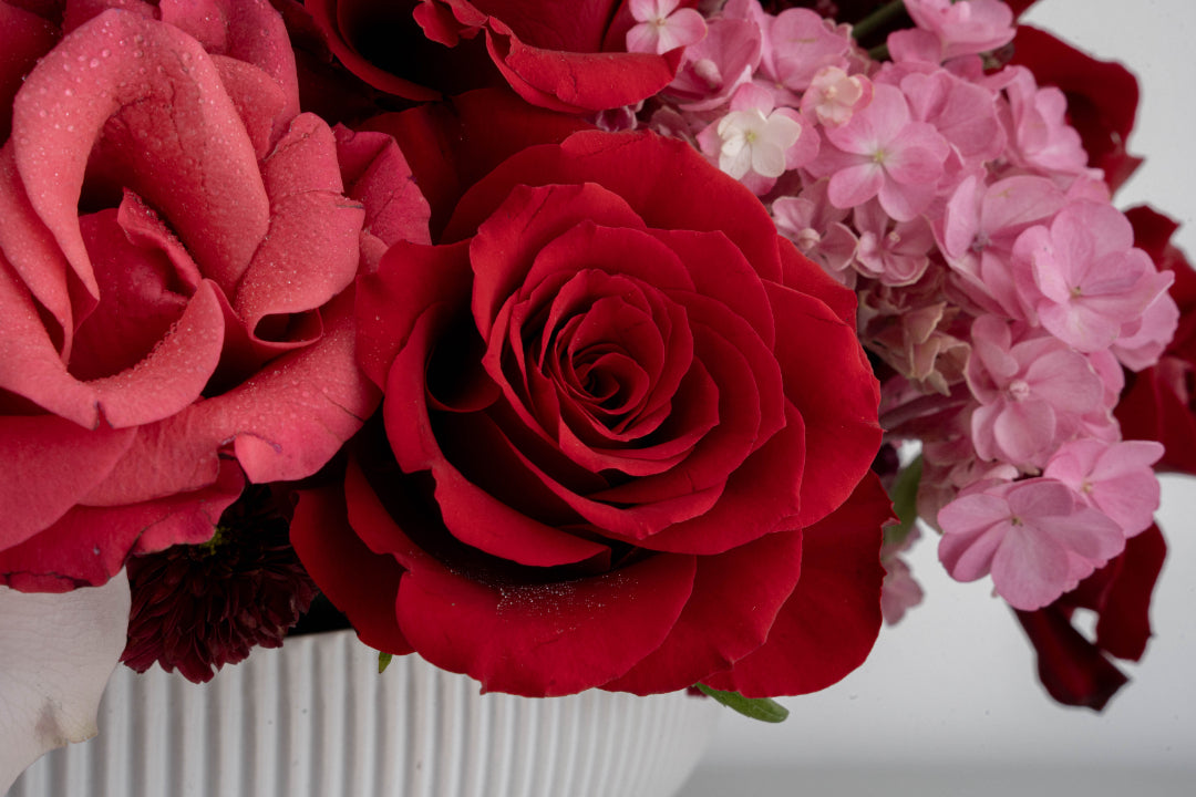 Red & Pink Rose with Hydrangea Arrangement