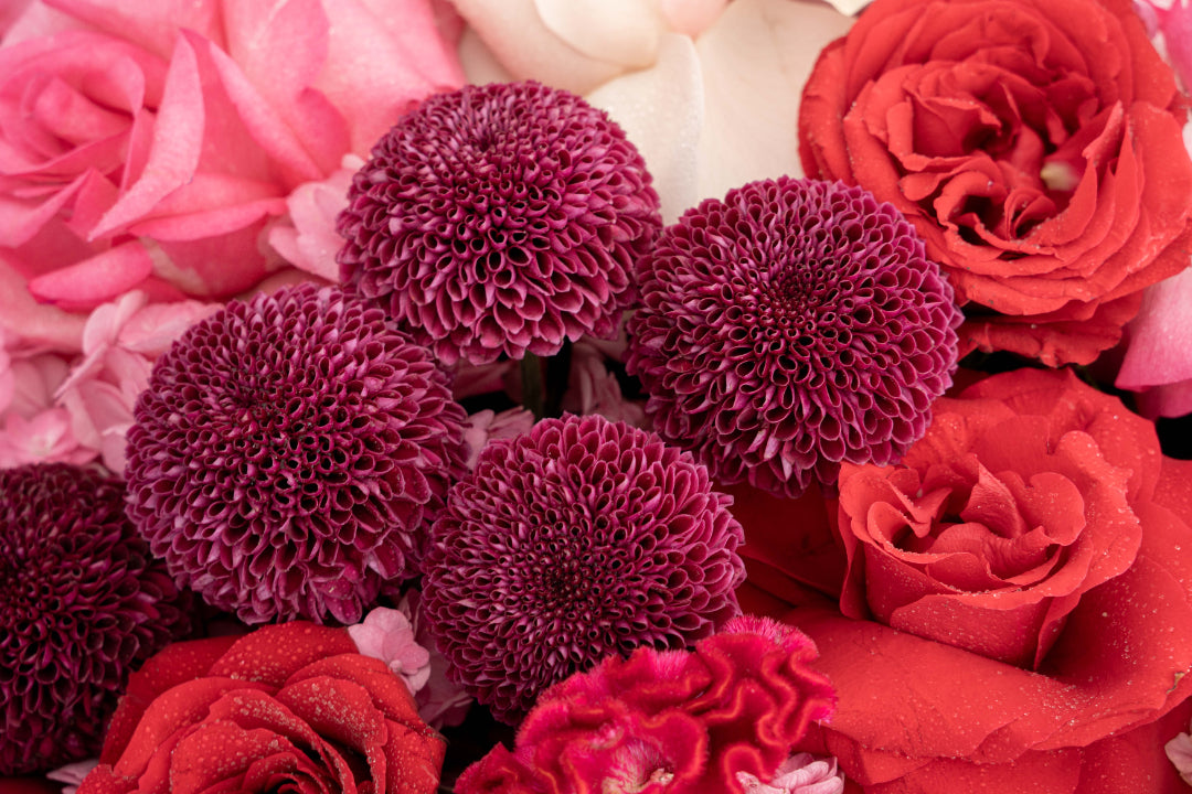 Red & Pink Rose with Hydrangea Arrangement