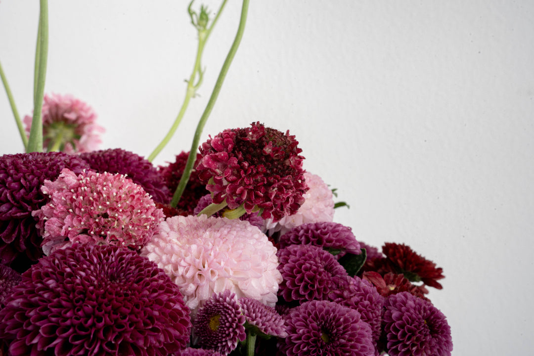 Pompon Chrysanthemum Arrangement