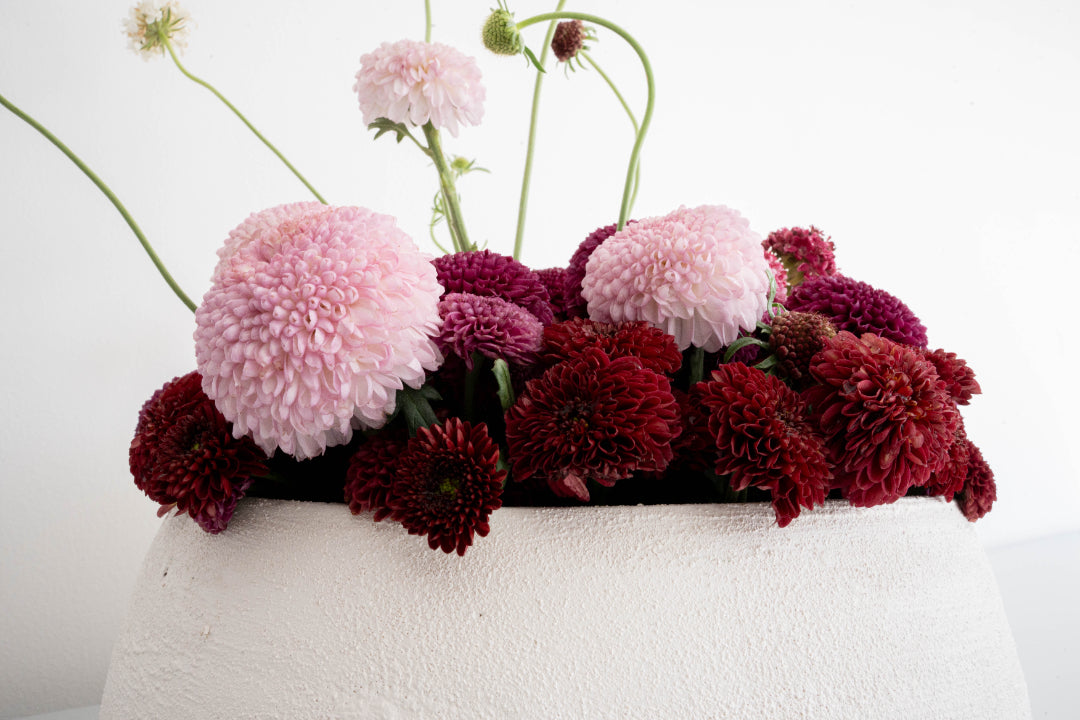 Pompon Chrysanthemum Arrangement