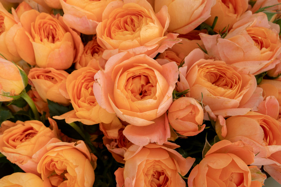 Orange Spray Rose Bouquet