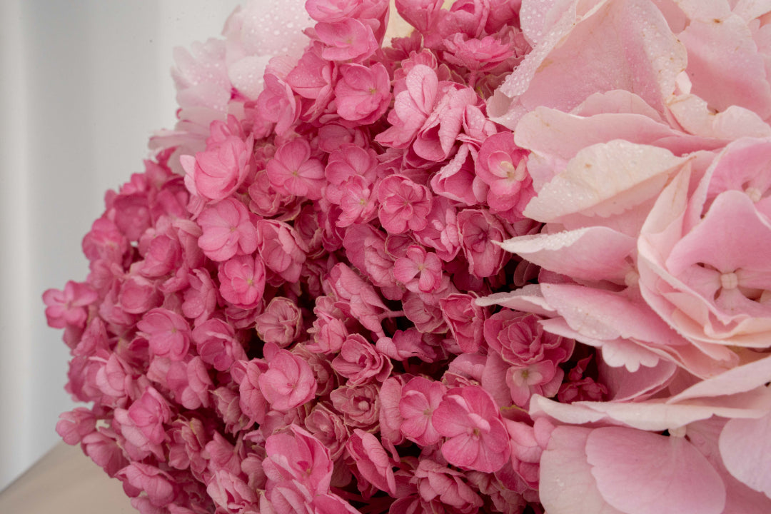 Pink Hydrangea Bouquet