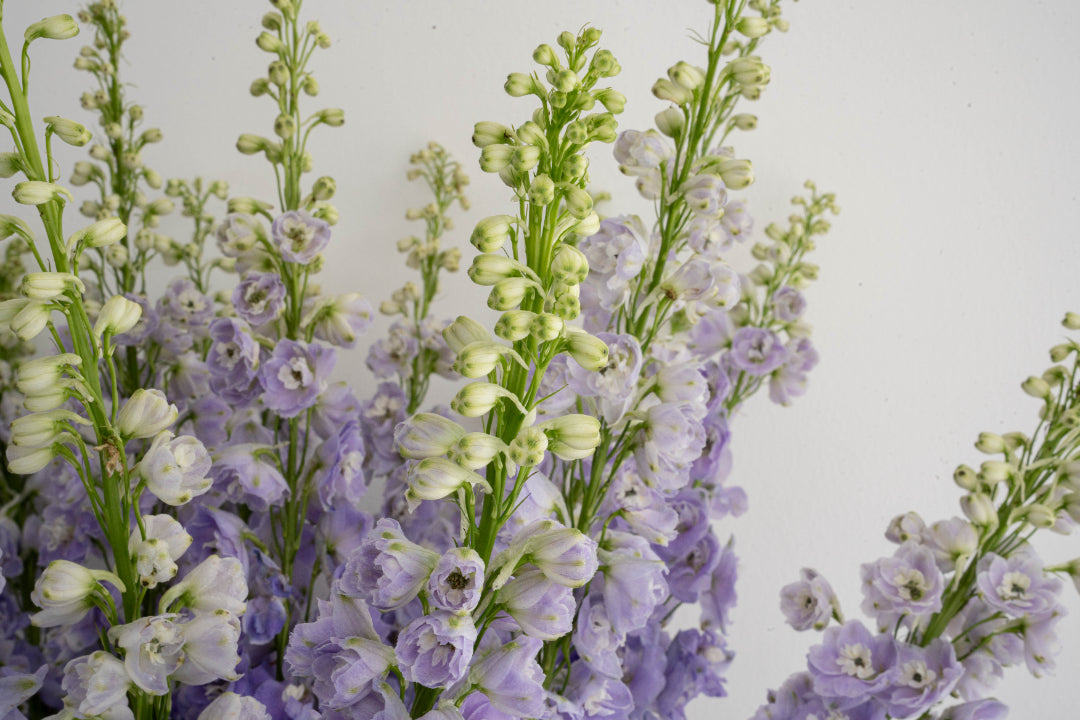Pastel Grace Floral Vase Arrangement