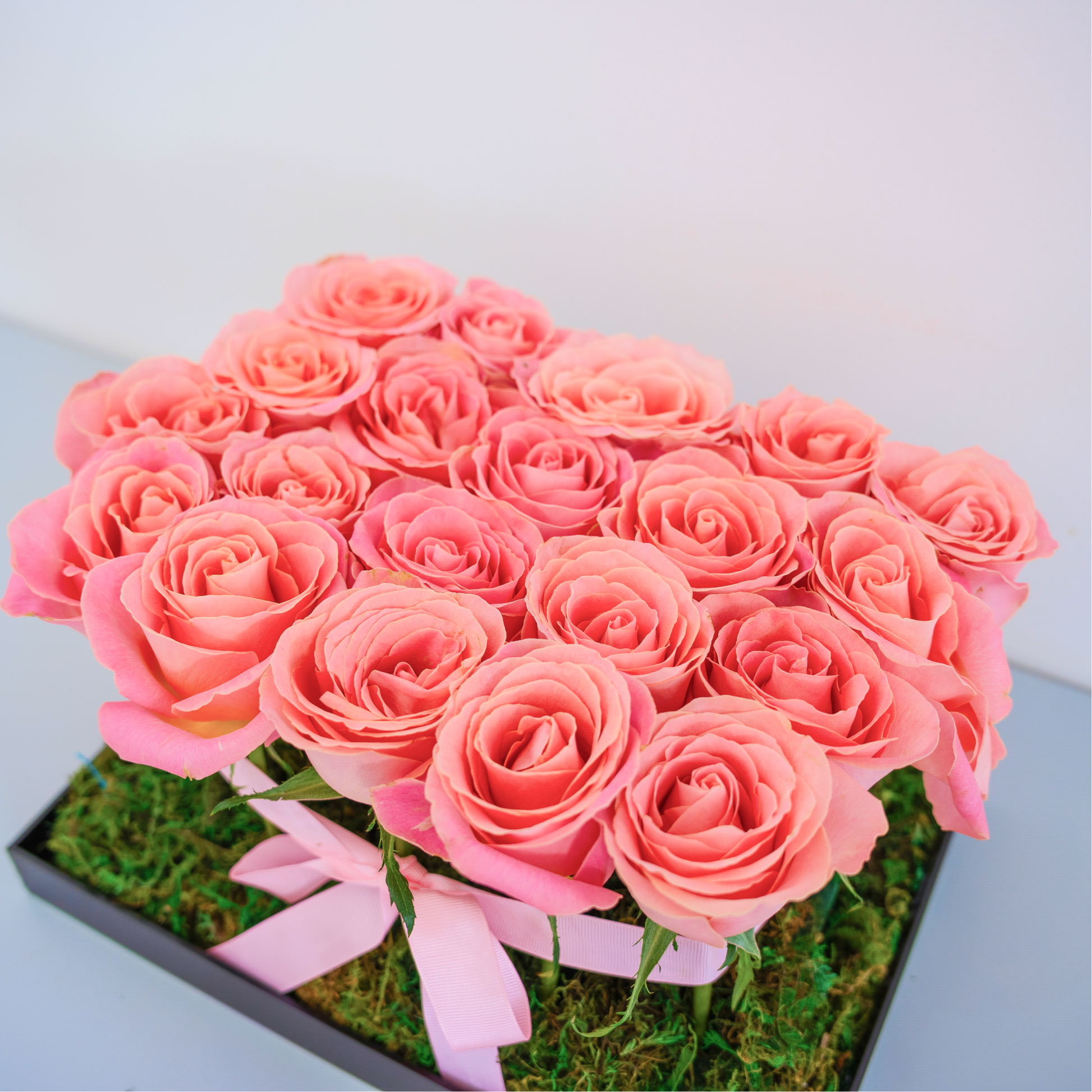 Blush Vault – 20 Hermosa Roses in Acrylic