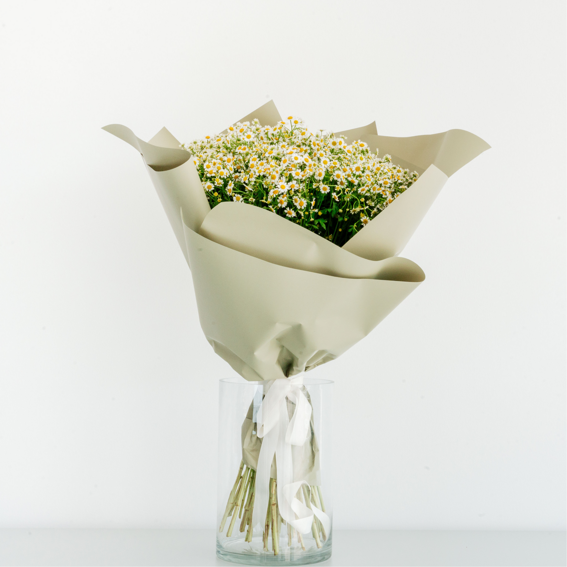 Chamomile Bouquet
