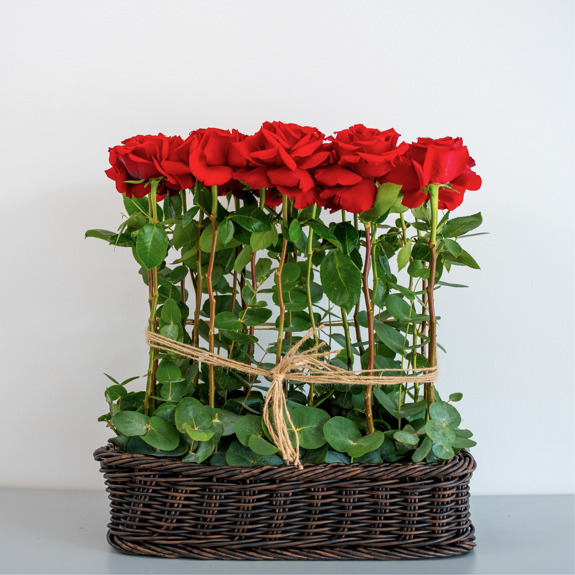 Crimson Classic – 21 Red Roses in Basket