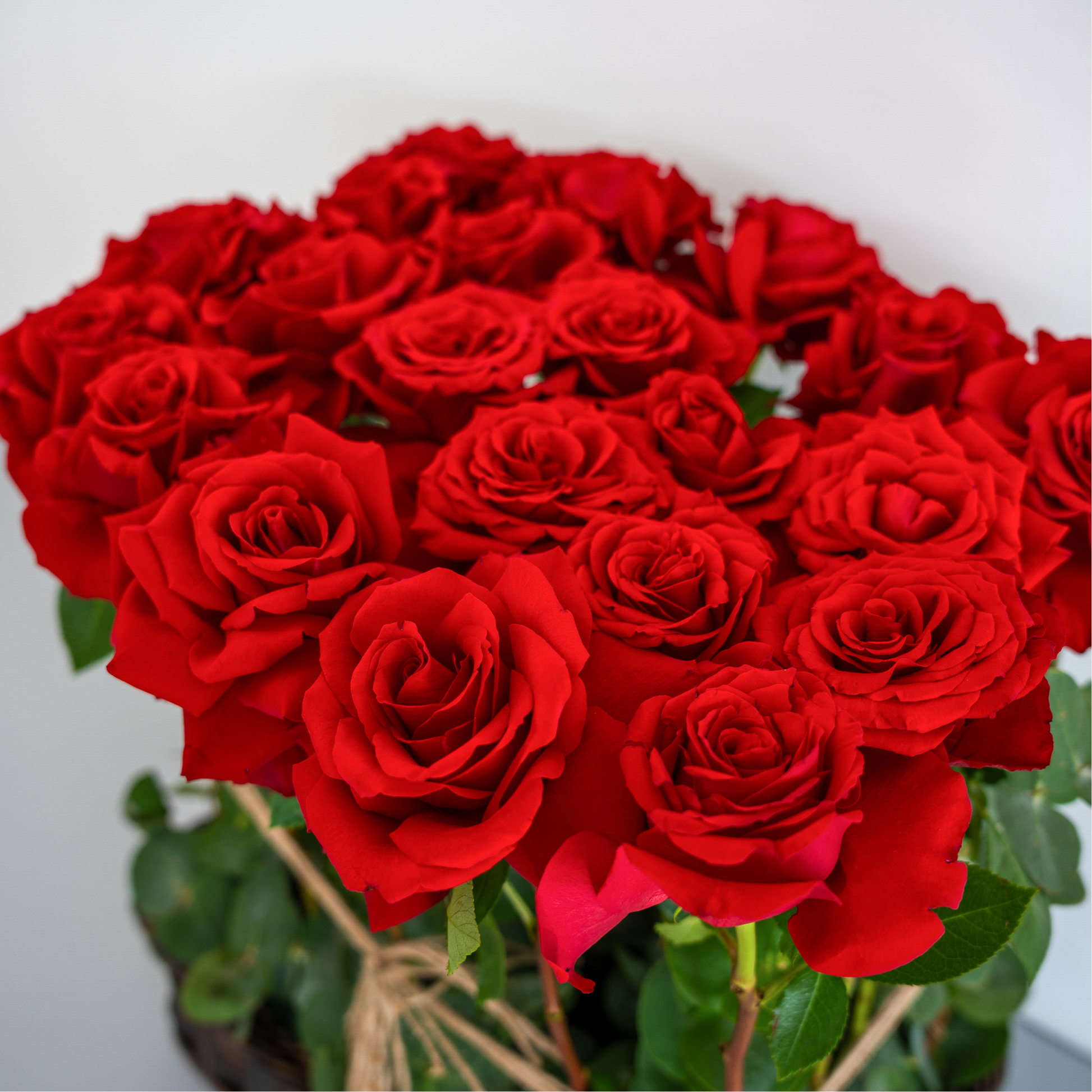 Crimson Classic – 21 Red Roses in Basket