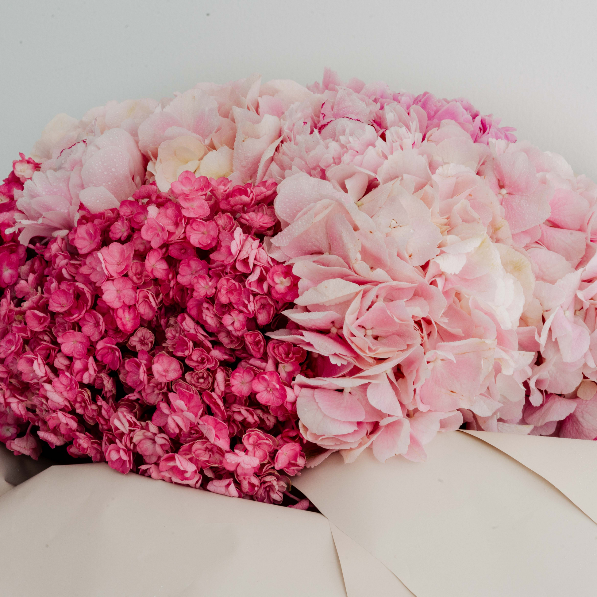 Garden Hues – Vibrant Hydrangea Mix