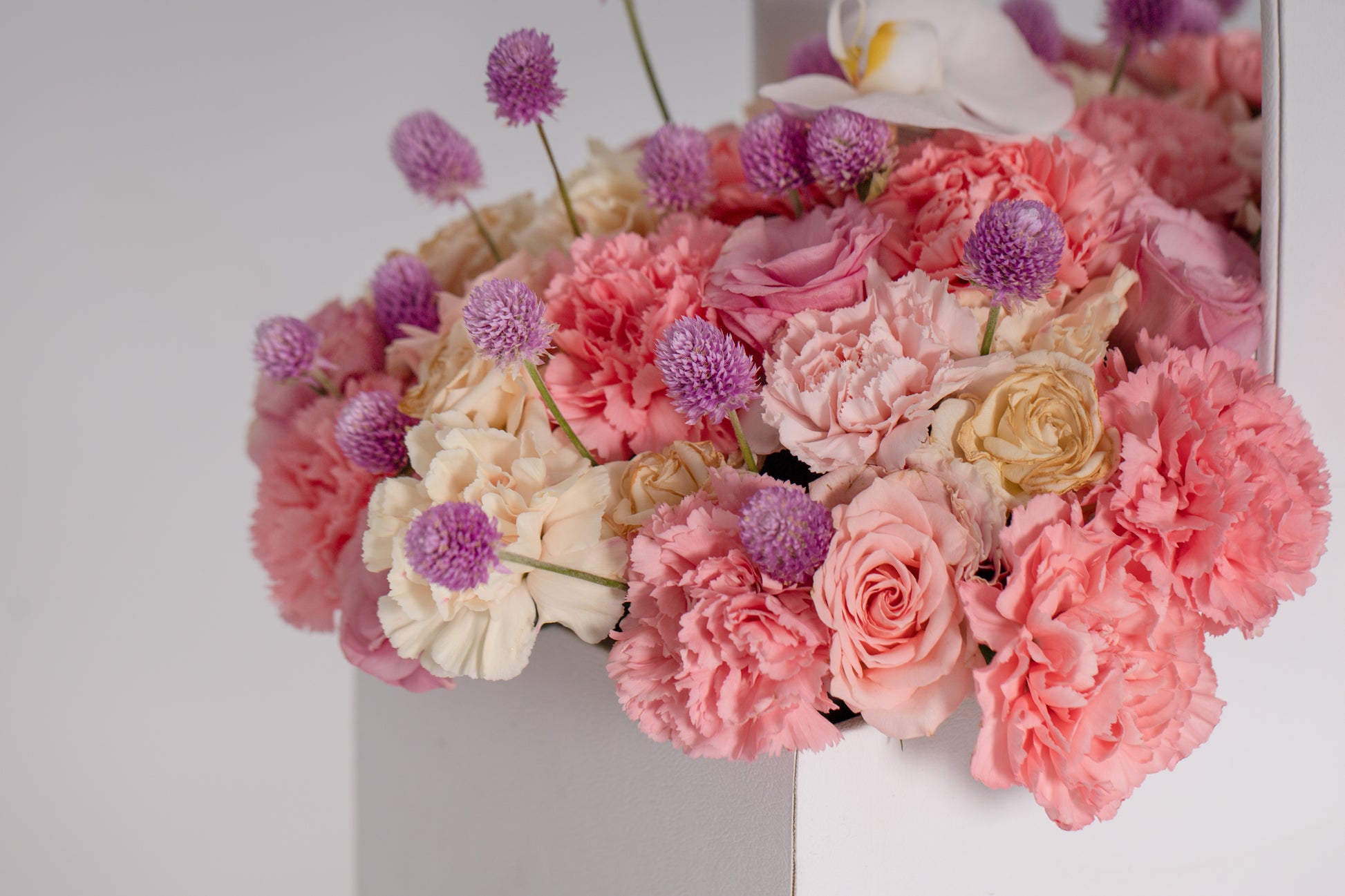 Pastel Opulence