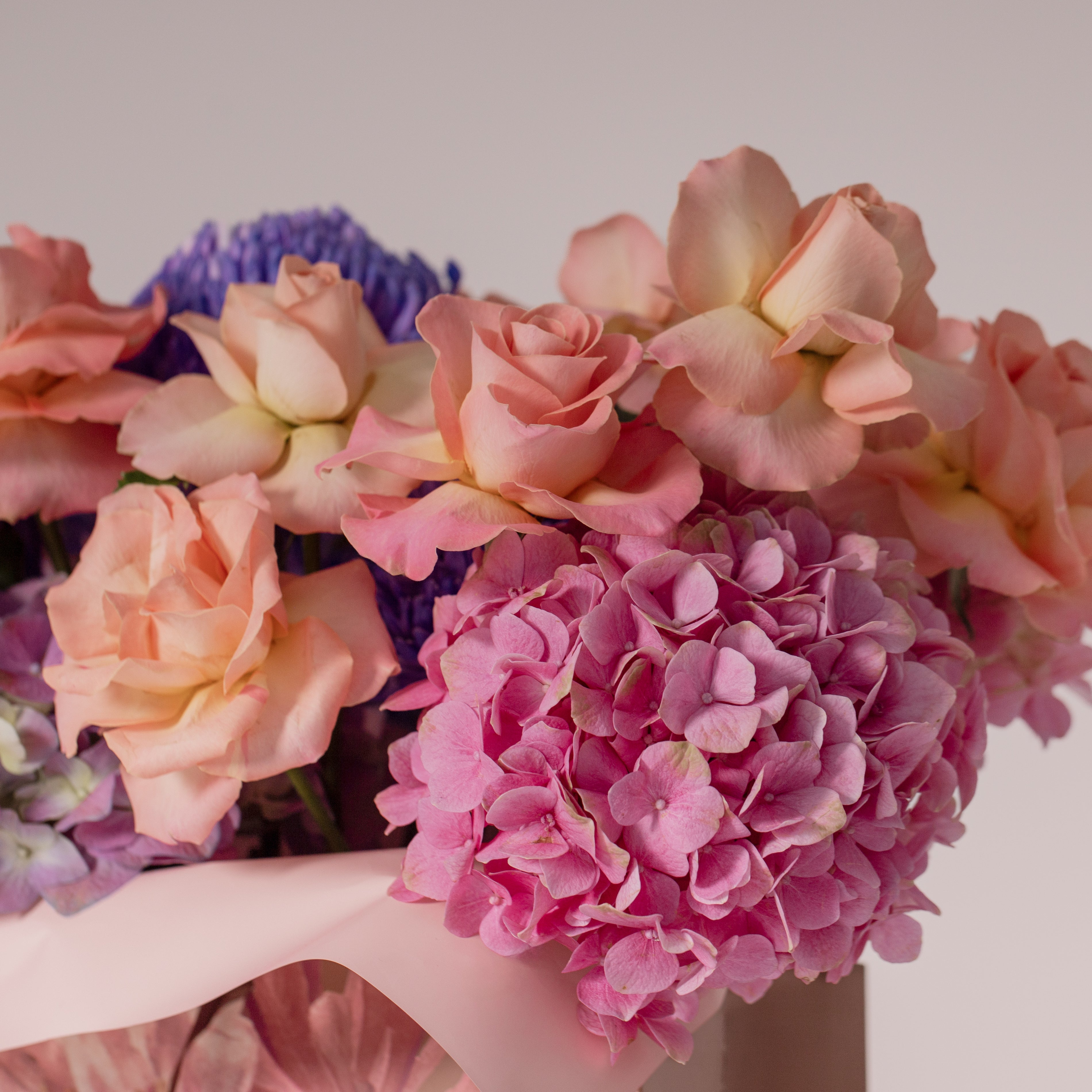 Peach & Plum Reverie