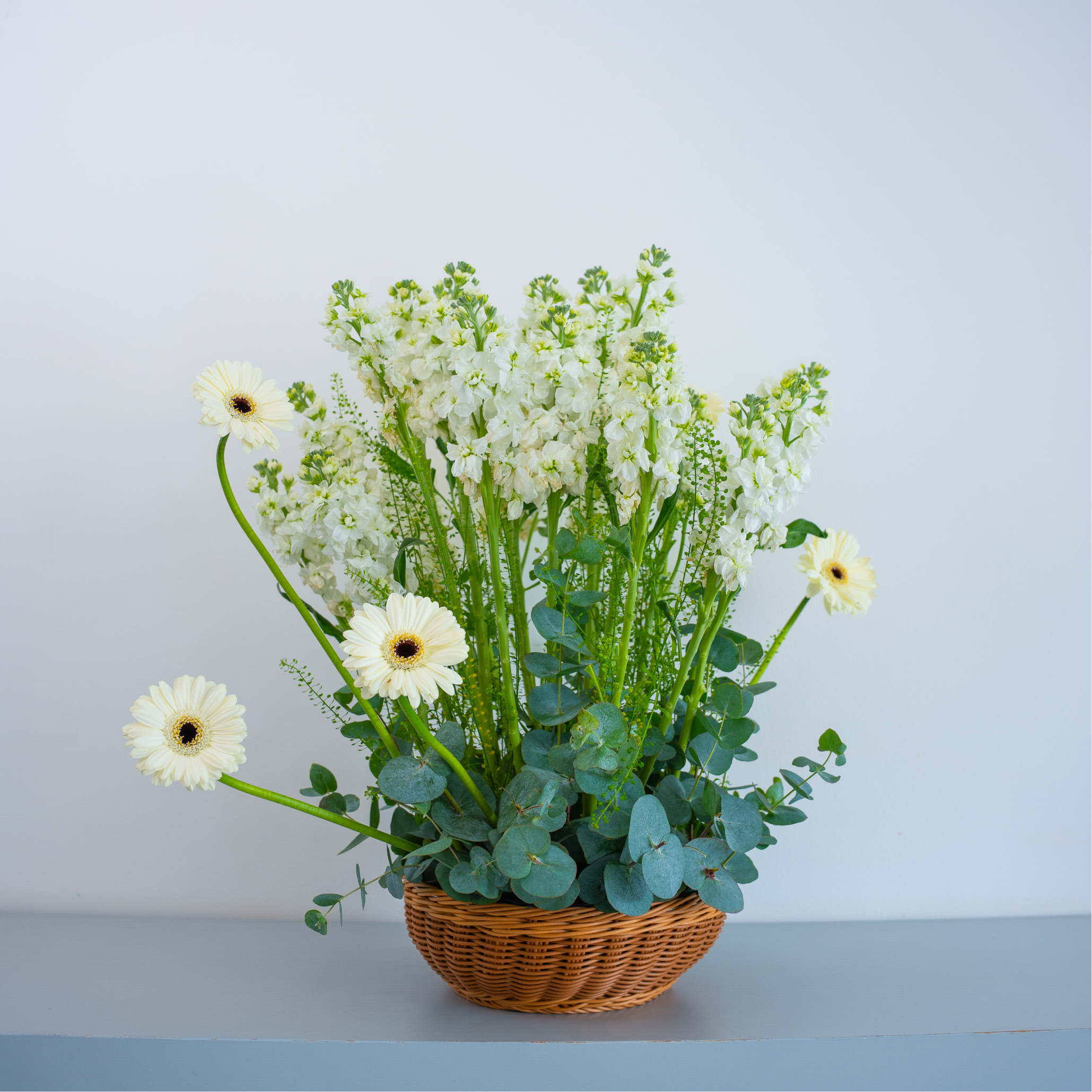 White Haven – Serenity in Bloom Pure. Quiet. Effortless.