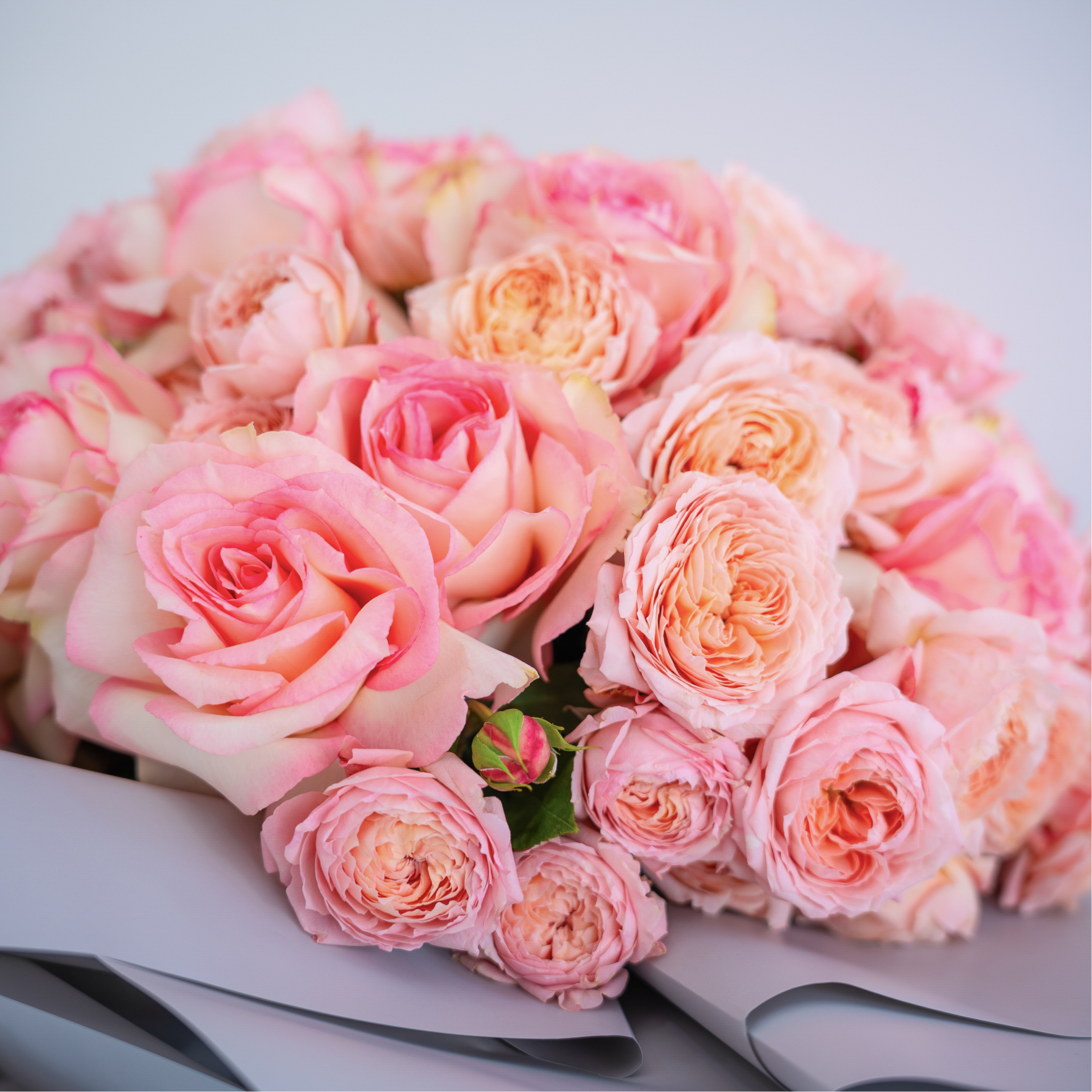 Blush Cascade – Julieta Spray Pink & Esperance Roses Bouquet