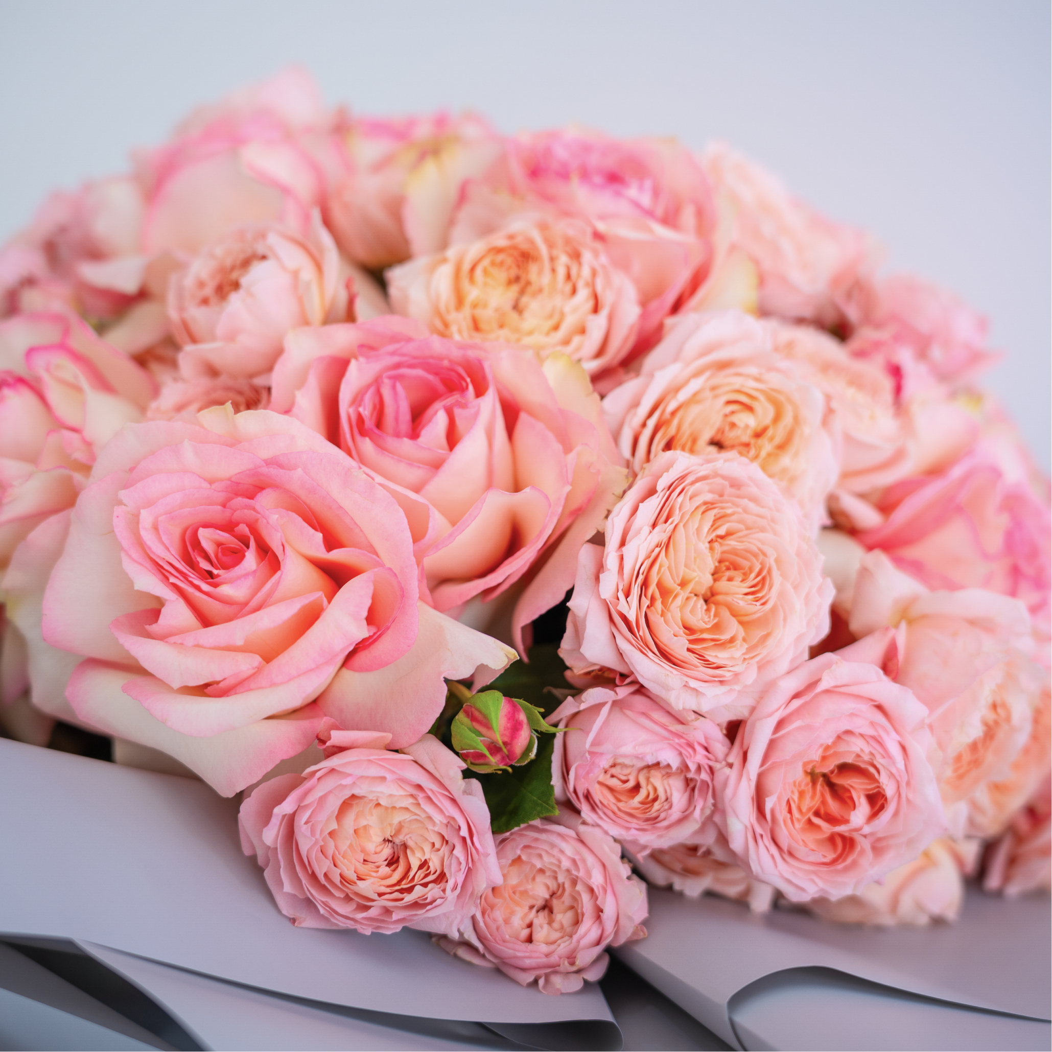 Esperance Elegance – Hand-Tied Bouquet of 40 Roses