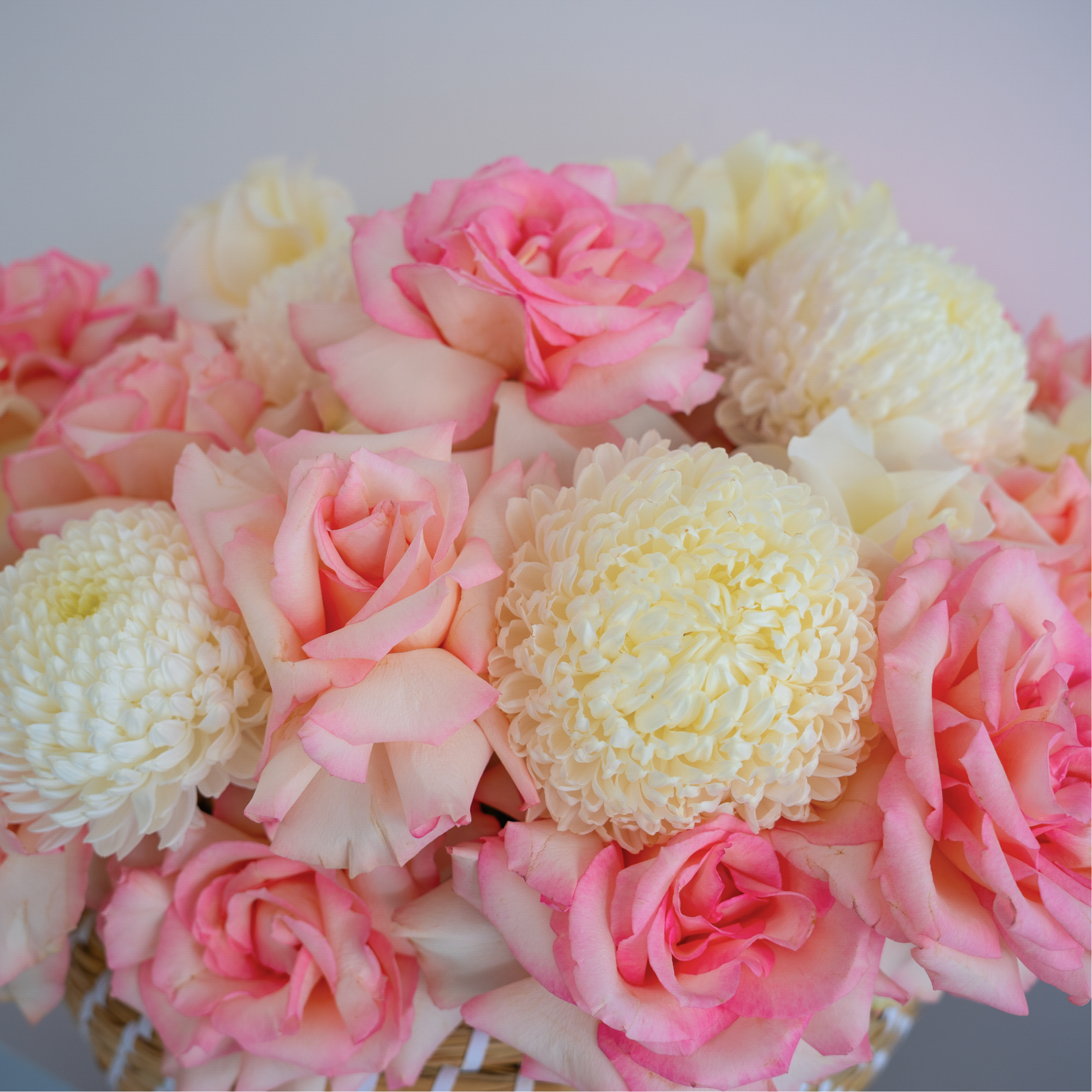 Esperance Grande – 30 Roses in Big Round Basket